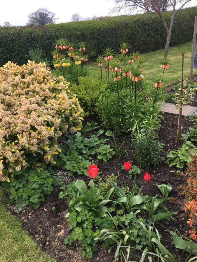 The Rag House Bed and Breakfast Upton upon Severn Exteriör bild