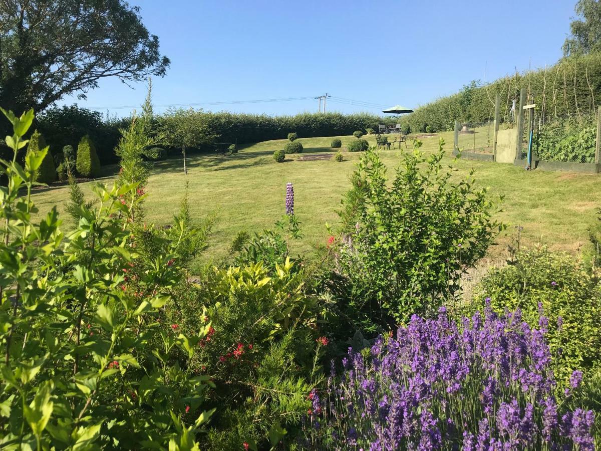 The Rag House Bed and Breakfast Upton upon Severn Exteriör bild
